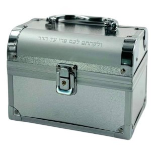 Picture of Aluminum Esrog Box with Handle and Clasp Chest Design Silver